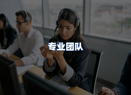 专业团队