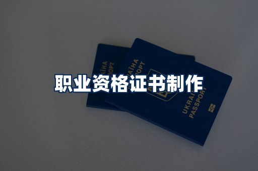 职业资格展示