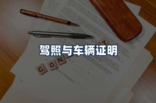 车辆证明展示